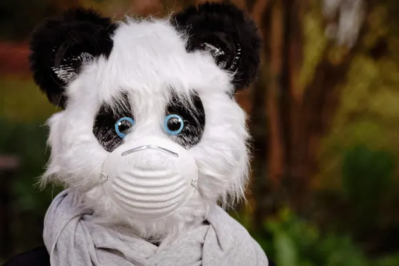 오빠 88888888 카지노 지원